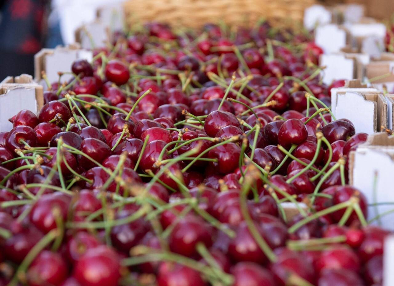 Cerejas