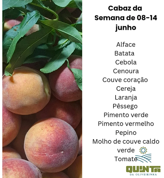Cabaz Familiar da semana