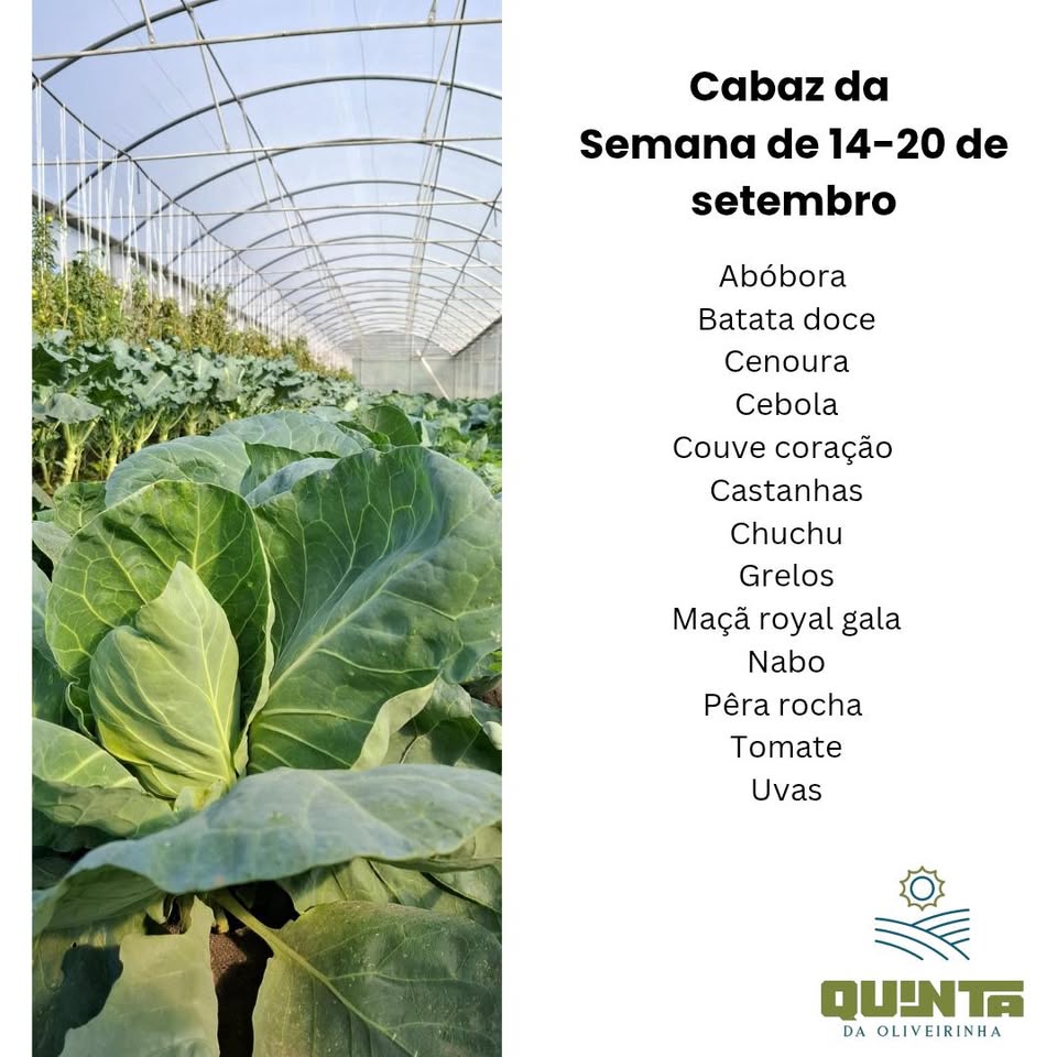 Cabaz Familiar da semana de 9kg