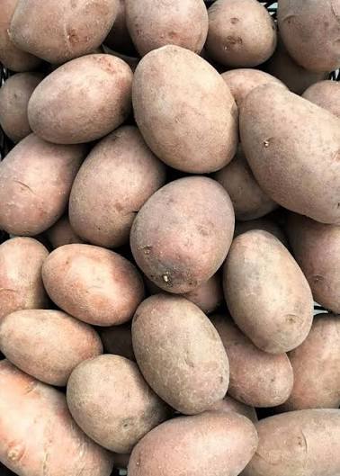 Batata Vermelha